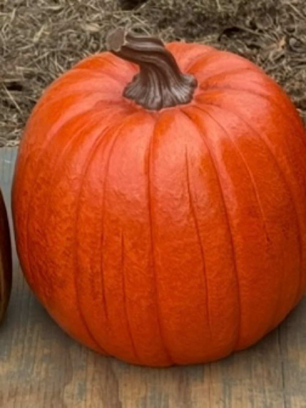 Orange Decorative Pumpkin Accent - Home Accents